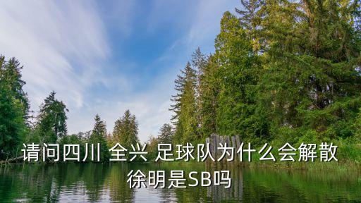 請問四川 全興 足球隊為什么會解散徐明是SB嗎