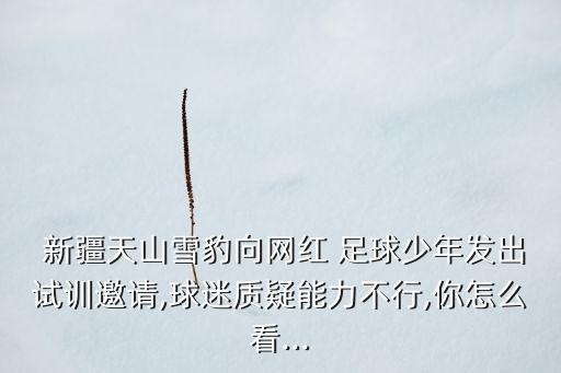  新疆天山雪豹向網(wǎng)紅 足球少年發(fā)出試訓(xùn)邀請(qǐng),球迷質(zhì)疑能力不行,你怎么看...
