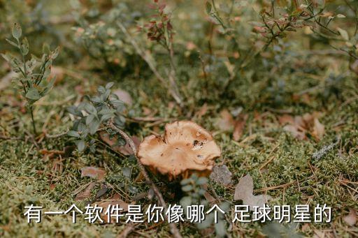 一刻足球下載,真實足球2012下載