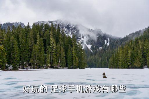 好玩的 足球手機(jī)游戲有哪些