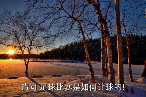 請(qǐng)問 足球比賽是如何讓球的!