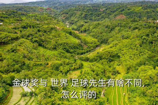 金球獎與 世界 足球先生有啥不同,怎么評的