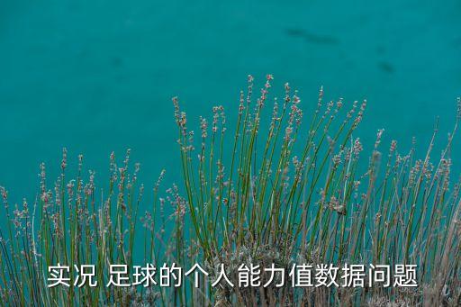  實況 足球的個人能力值數(shù)據(jù)問題