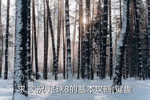 實況足球8中r2是哪個鍵
