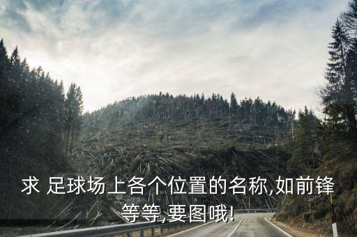 求 足球場上各個(gè)位置的名稱,如前鋒等等,要圖哦!