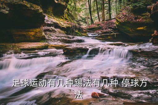  足球運(yùn)動有幾種踢法有幾種 停球方法