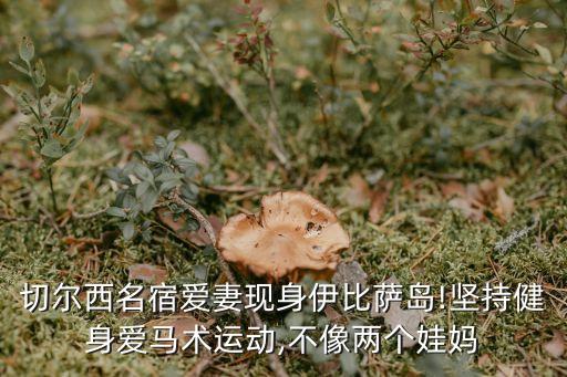 切爾西名宿愛妻現(xiàn)身伊比薩島!堅(jiān)持健身愛馬術(shù)運(yùn)動,不像兩個(gè)娃媽
