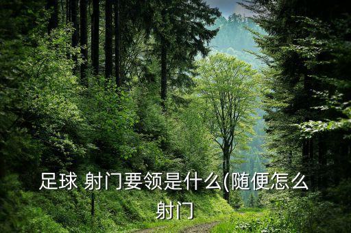  足球 射門(mén)要領(lǐng)是什么(隨便怎么 射門(mén)