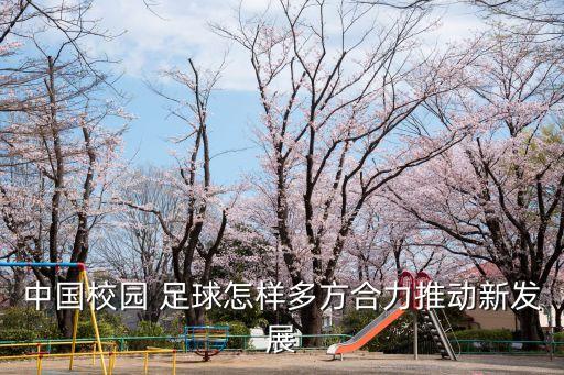 中國校園 足球怎樣多方合力推動新發(fā)展