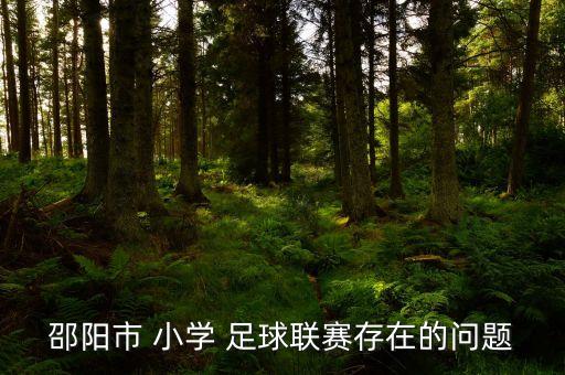 邵陽(yáng)市 小學(xué) 足球聯(lián)賽存在的問(wèn)題