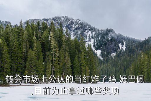轉(zhuǎn)會(huì)市場(chǎng)上公認(rèn)的當(dāng)紅炸子雞 姆巴佩,目前為止拿過哪些獎(jiǎng)項(xiàng)
