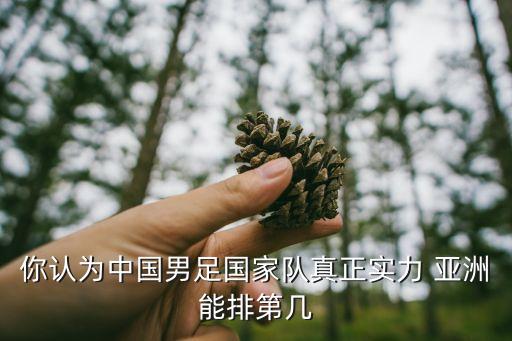 你認(rèn)為中國(guó)男足國(guó)家隊(duì)真正實(shí)力 亞洲能排第幾