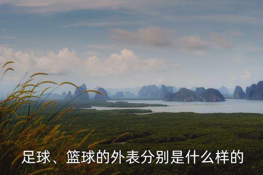  足球、籃球的外表分別是什么樣的