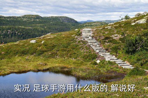 實(shí)況足球 中文解說(shuō) 官方,psp實(shí)況足球2022中文解說(shuō)