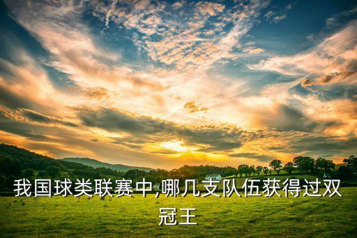 我國(guó)球類聯(lián)賽中,哪幾支隊(duì)伍獲得過雙冠王