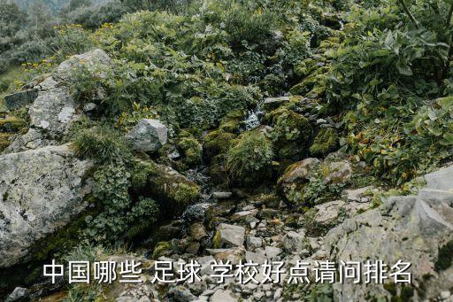 中國哪些 足球 學(xué)校好點(diǎn)請問排名