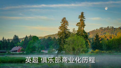意大利足球俱樂部贏利,1908年意大利成立足球俱樂部