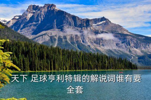  天下 足球亨利特輯的解說(shuō)詞誰(shuí)有要全套
