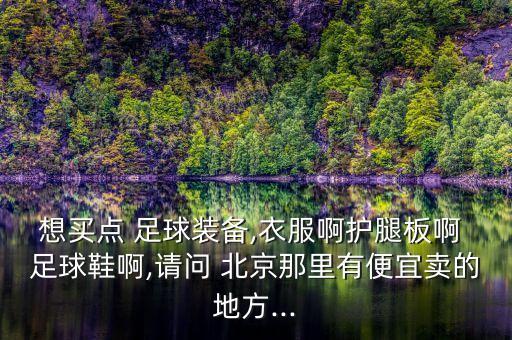 想買點(diǎn) 足球裝備,衣服啊護(hù)腿板啊 足球鞋啊,請問 北京那里有便宜賣的地方...