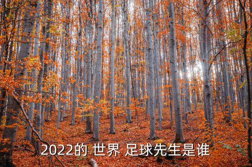 2022的 世界 足球先生是誰