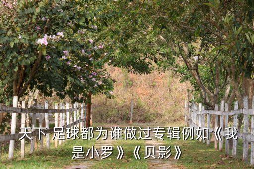 天下足球歐洲杯紀錄片