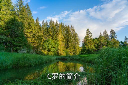 C羅的簡介