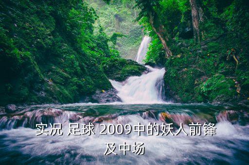  實(shí)況 足球 2009中的妖人前鋒及中場