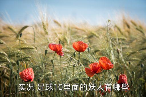 實(shí)況足球10球員數(shù)據(jù)