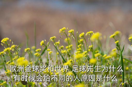  歐洲金球獎(jiǎng)和世界 足球先生為什么有時(shí)候會(huì)給不同的人原因是什么
