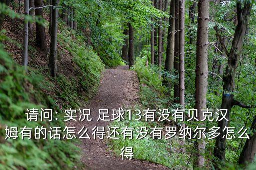 請問: 實況 足球13有沒有貝克漢姆有的話怎么得還有沒有羅納爾多怎么得