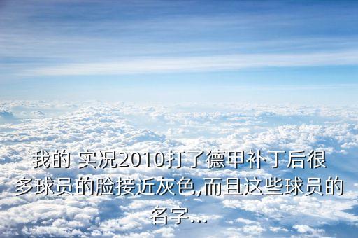 我的 實況2010打了德甲補丁后很多球員的臉接近灰色,而且這些球員的名字...