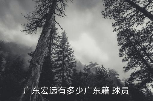深圳佳兆業(yè)足球俱樂(lè)部球員待遇