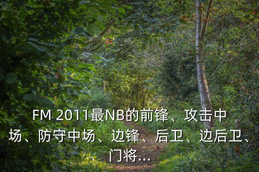 FM 2011最NB的前鋒、攻擊中場、防守中場、邊鋒、后衛(wèi)、邊后衛(wèi)、門將...