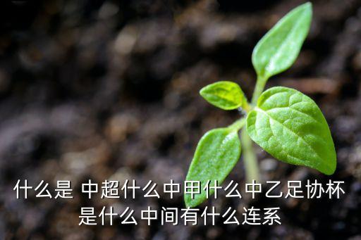 什么是 中超什么中甲什么中乙足協(xié)杯是什么中間有什么連系