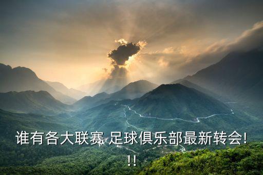 誰(shuí)有各大聯(lián)賽 足球俱樂(lè)部最新轉(zhuǎn)會(huì)!!!