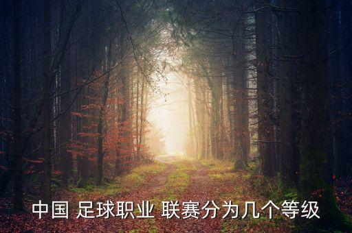 中國 足球職業(yè) 聯(lián)賽分為幾個(gè)等級(jí)