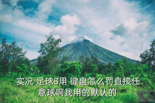  實(shí)況 足球8用 鍵盤(pán)怎么罰直接任意球啊我用的默認(rèn)的