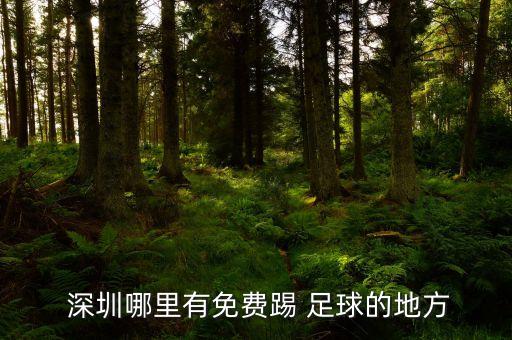  深圳哪里有免費踢 足球的地方