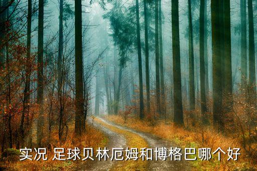  實況 足球貝林厄姆和博格巴哪個好