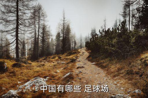 中國(guó)的足球俱樂(lè)部在那,中國(guó)一共多少足球俱樂(lè)部
