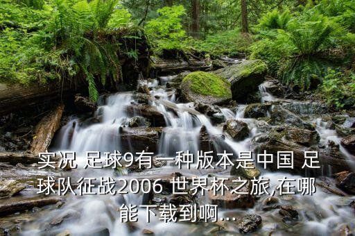 實況足球9 世界杯