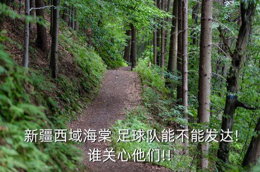  新疆西域海棠 足球隊(duì)能不能發(fā)達(dá)!誰關(guān)心他們!!