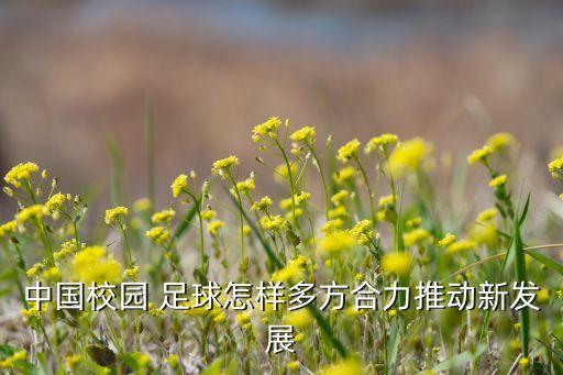 中國(guó)校園 足球怎樣多方合力推動(dòng)新發(fā)展