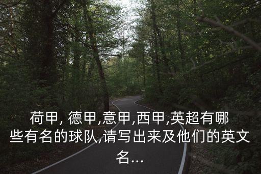 德甲足球隊伍,足球小說主角在德甲
