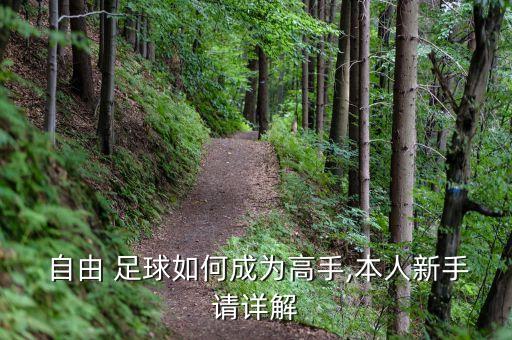  自由 足球如何成為高手,本人新手請?jiān)斀? class=