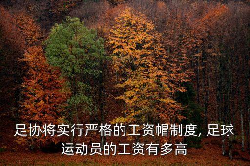 足協(xié)將實行嚴格的工資帽制度, 足球運動員的工資有多高
