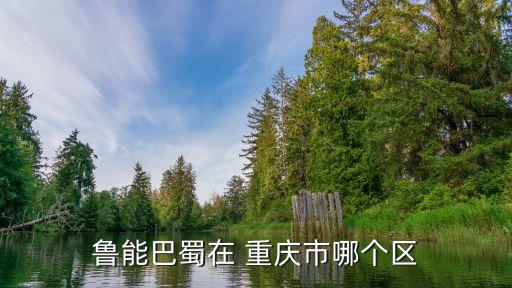 魯能巴蜀在 重慶市哪個(gè)區(qū)