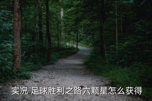  實況 足球勝利之路六顆星怎么獲得