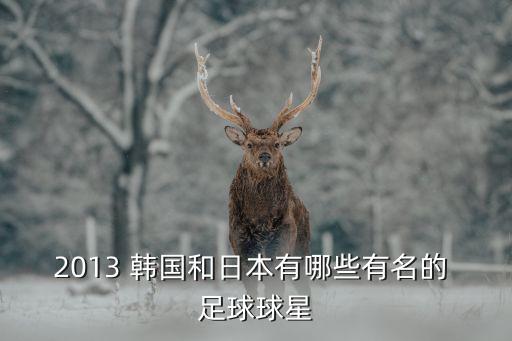 2013 韓國和日本有哪些有名的 足球球星