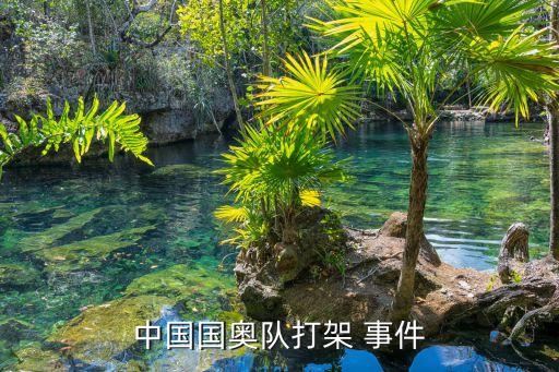 中國國奧隊(duì)打架 事件